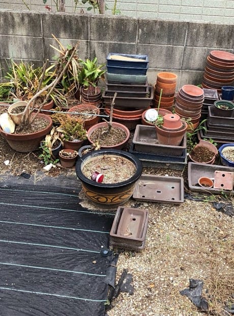 庭の植木と植木鉢の回収